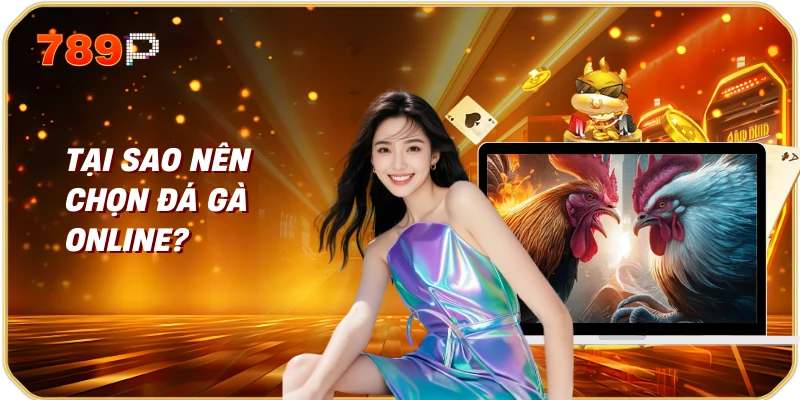 Tại Sao Nên Chọn Đá Gà Online?